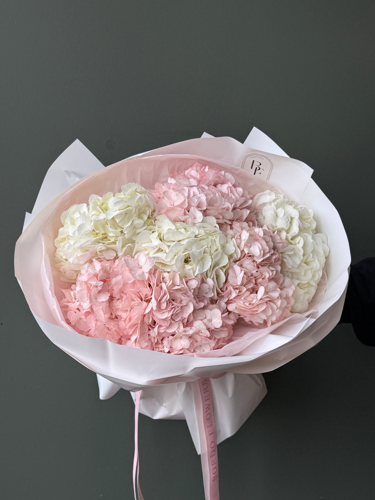 Full pink and white hydrangea bouquet with delicate ribbon Delivery in Dallas TX
