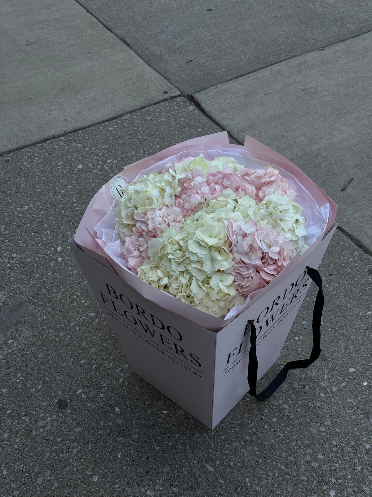 “Clouds” pink and white hydrangea bouquet in soft pink wrapping Delivery in Dallas TX 